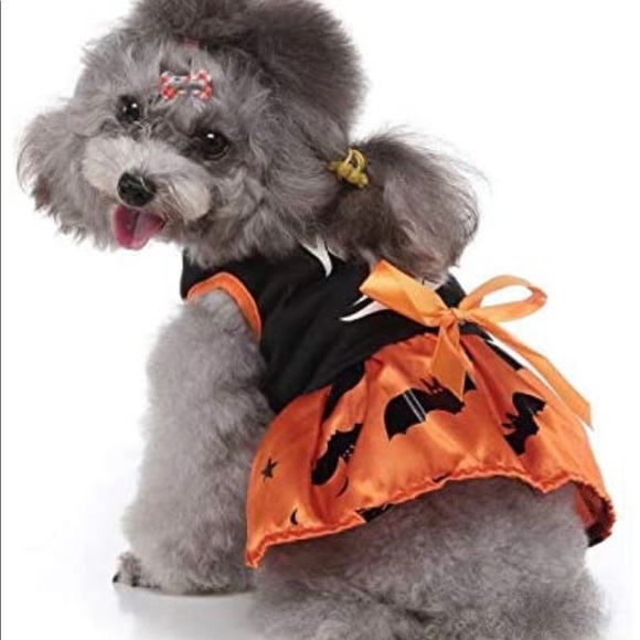 NWT Halloween Pet costume (Sm/Med) Dogs or Cats - Picture 4 of 5